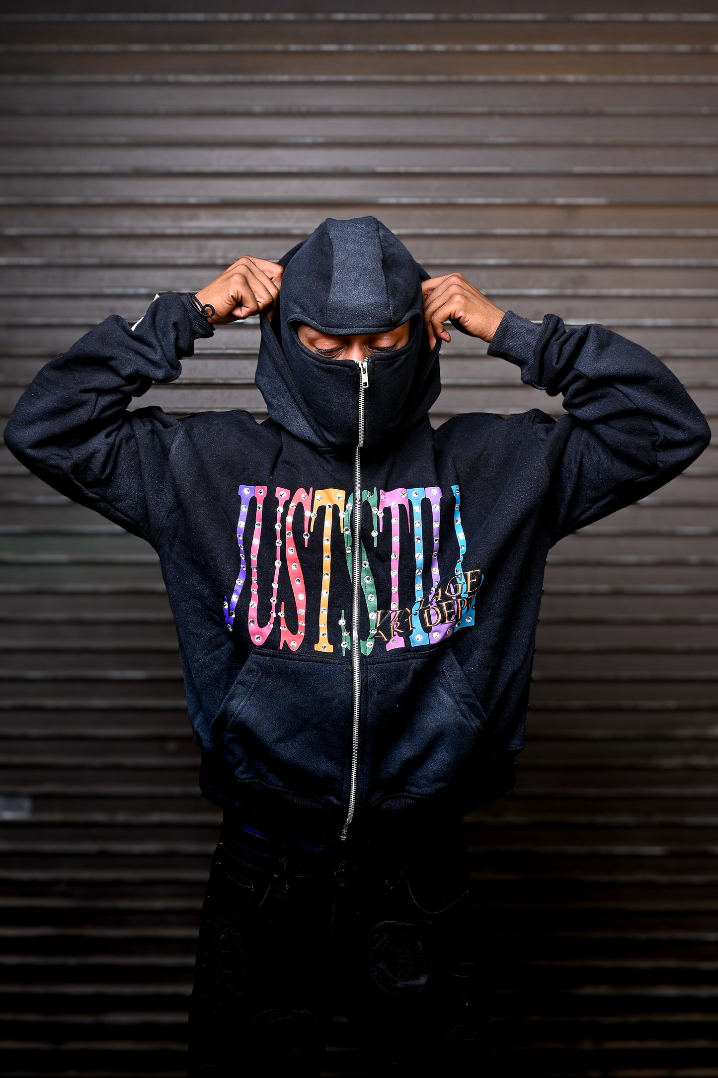 Vintage Art $ki Zip Up